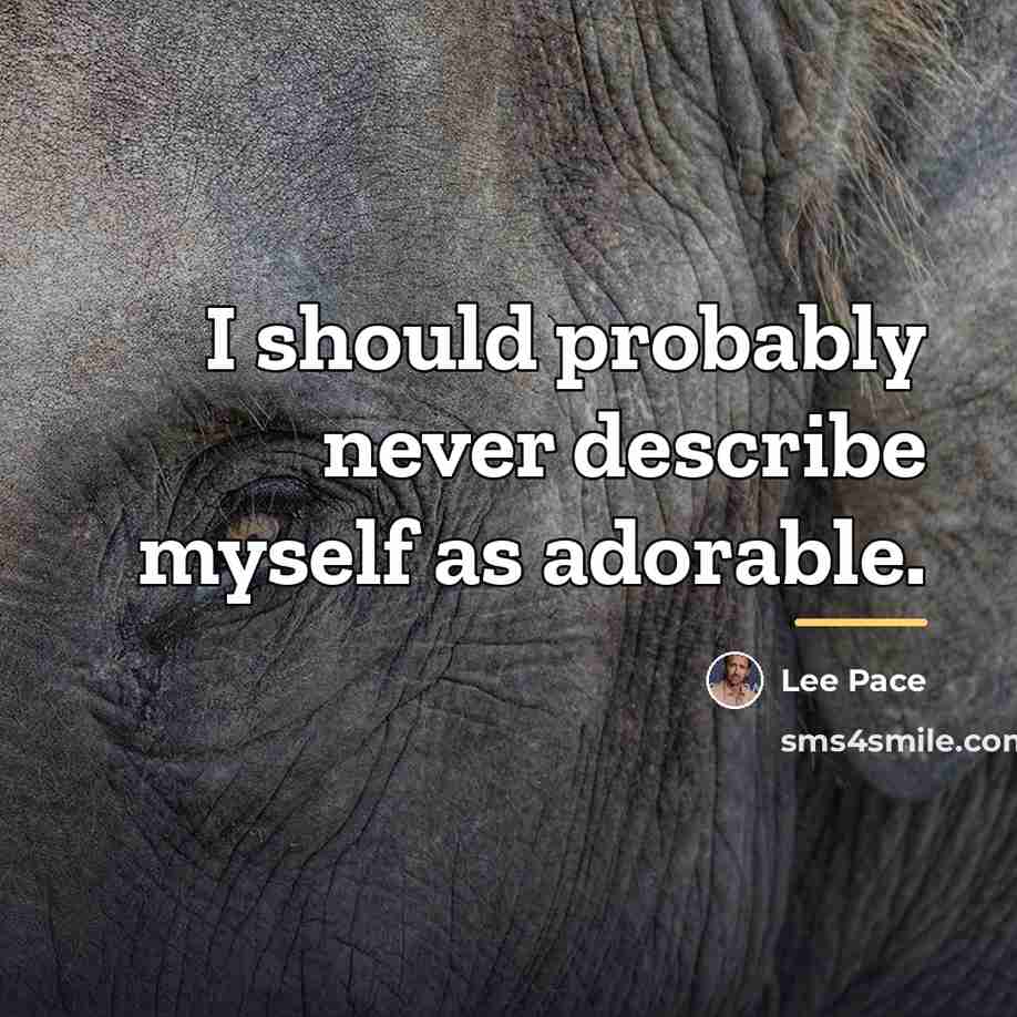 “I should probably never describe myself as adorable.…” quote by Lee Pace