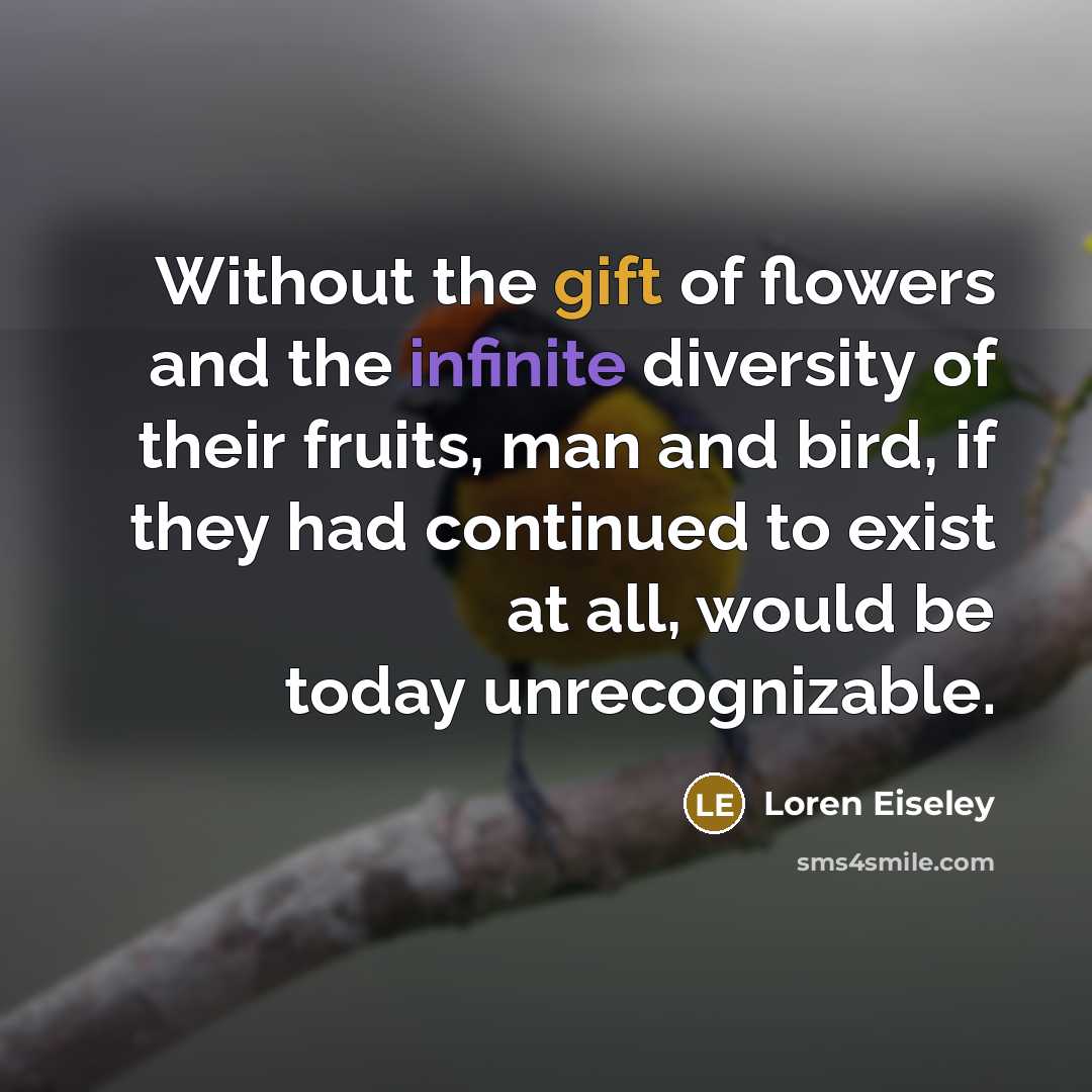 “Without the gift of flowers and the infinite diversity of…” quote by Loren Eiseley