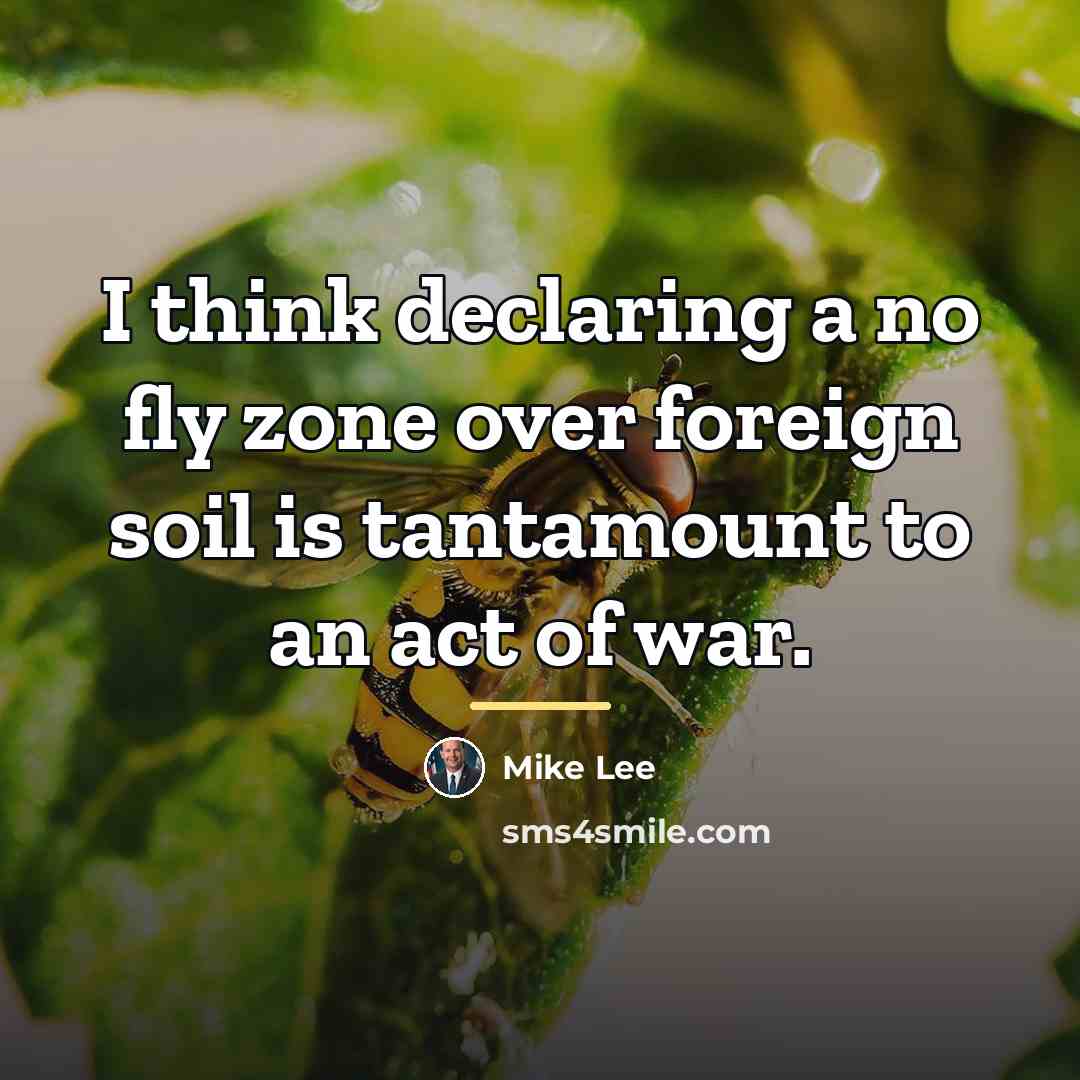 “I think declaring a no fly zone over foreign soil…” quote by Mike Lee