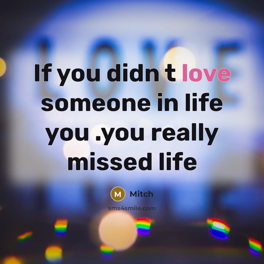 “If you didn t love someone in life you .you…” quote by Mitch