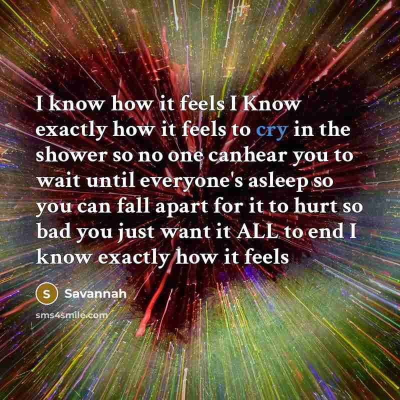 “I know how it feels I Know exactly how it feels to cry in the shower so no one canhear you to wait until everyone's asleep so you can fall apart for it to hurt so bad you just want it ALL to end I know exactly how it feels” quote by Savannah