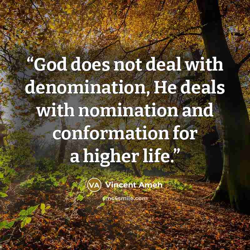 “God does not deal with denomination, He deals with nomination and conformation for a higher life.” quote by Vincent Ameh