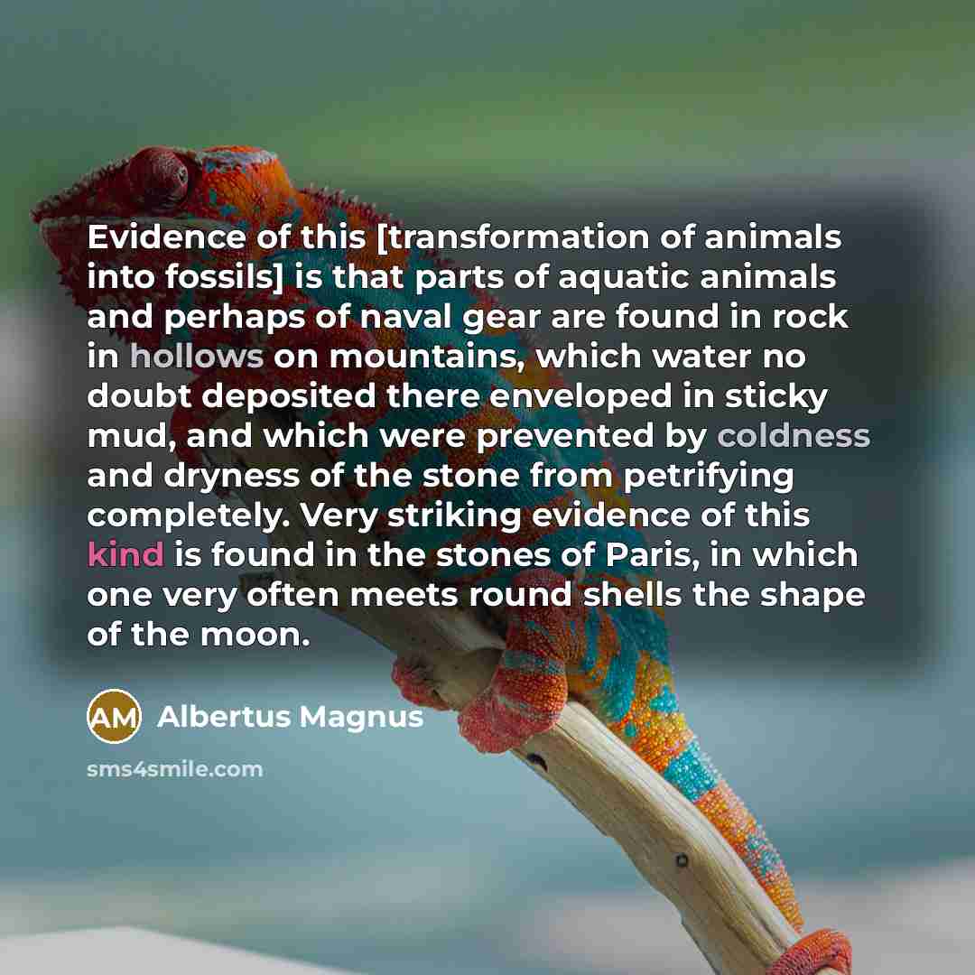 “Evidence of this [transformation of animals into fossils] is that…” quote by Albertus Magnus