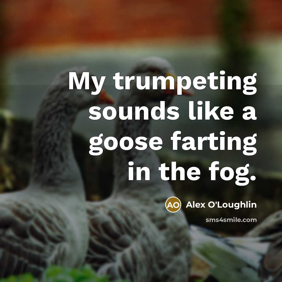 “My trumpeting sounds like a goose farting in the fog.…” quote by Alex O'Loughlin
