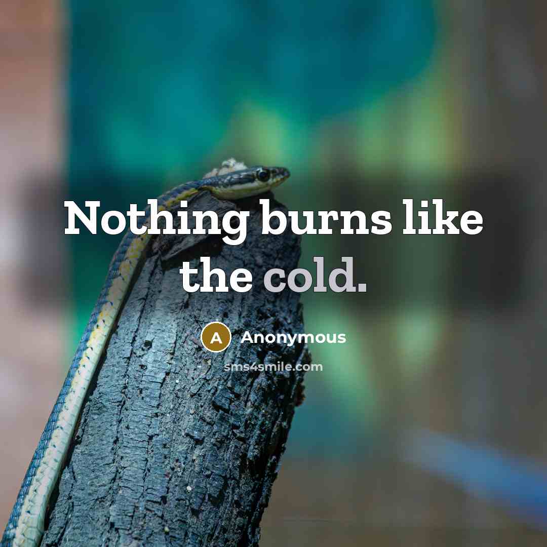 “Nothing burns like the cold.” quote by Anonymous
