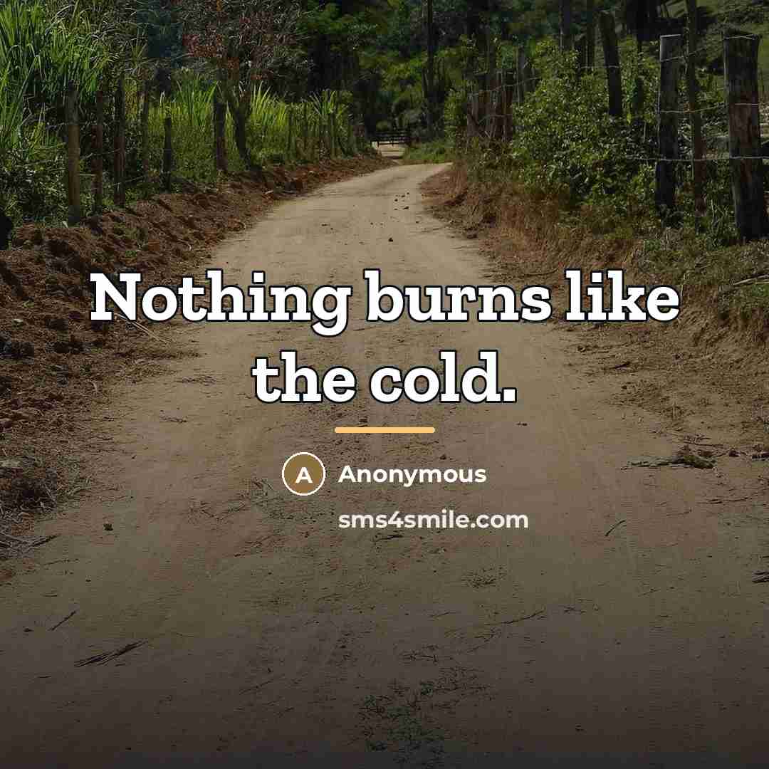 “Nothing burns like the cold.…” quote by Anonymous