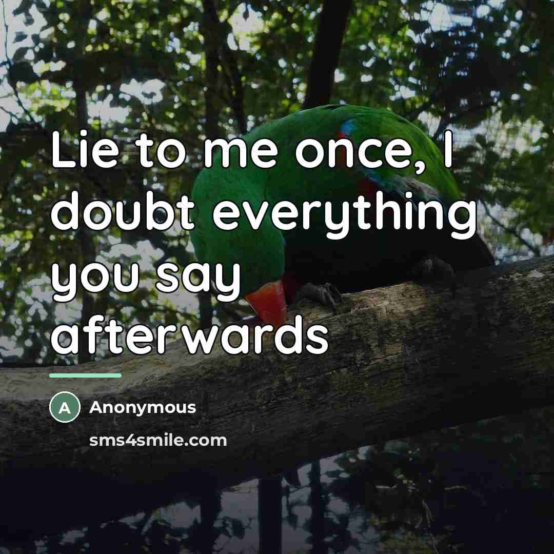 “Lie to me once, I doubt everything you say afterwards…” quote by Anonymous