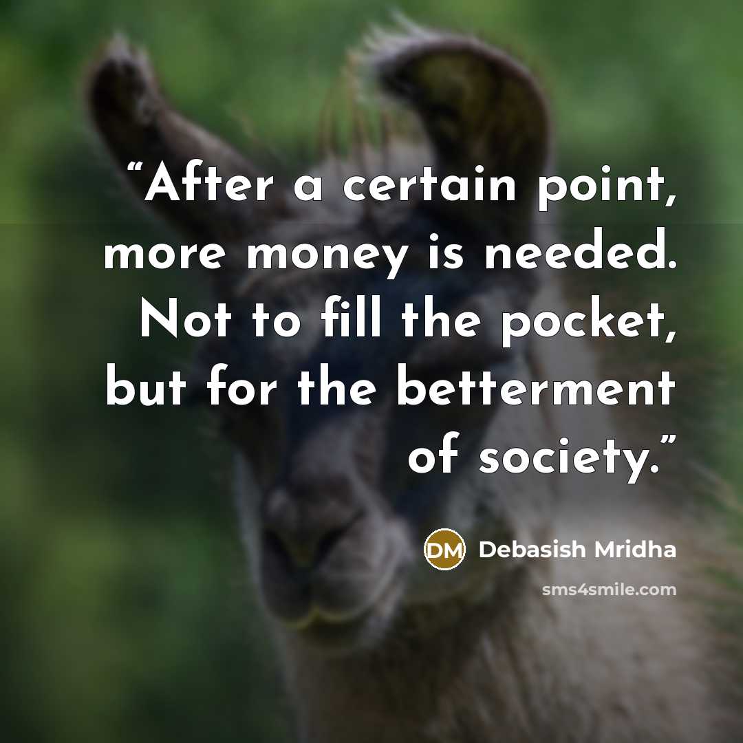 “After a certain point, more money is needed. Not to fill the pocket, but for the betterment of society.” quote by Debasish Mridha