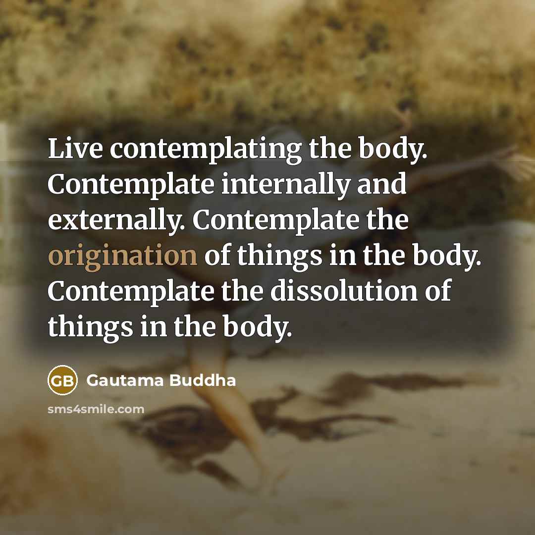 “Live contemplating the body. Contemplate internally and externally. Contemplate the…” quote by Gautama Buddha