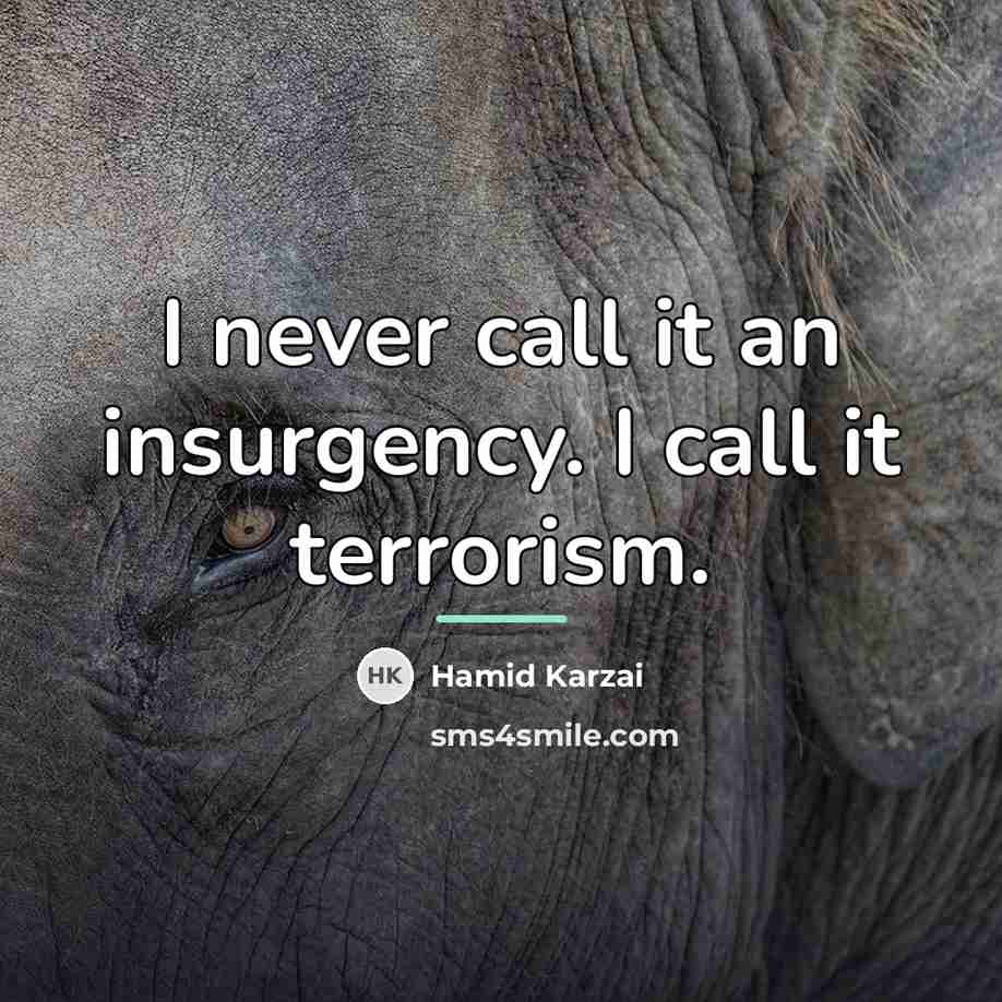 “I never call it an insurgency. I call it terrorism.…” quote by Hamid Karzai
