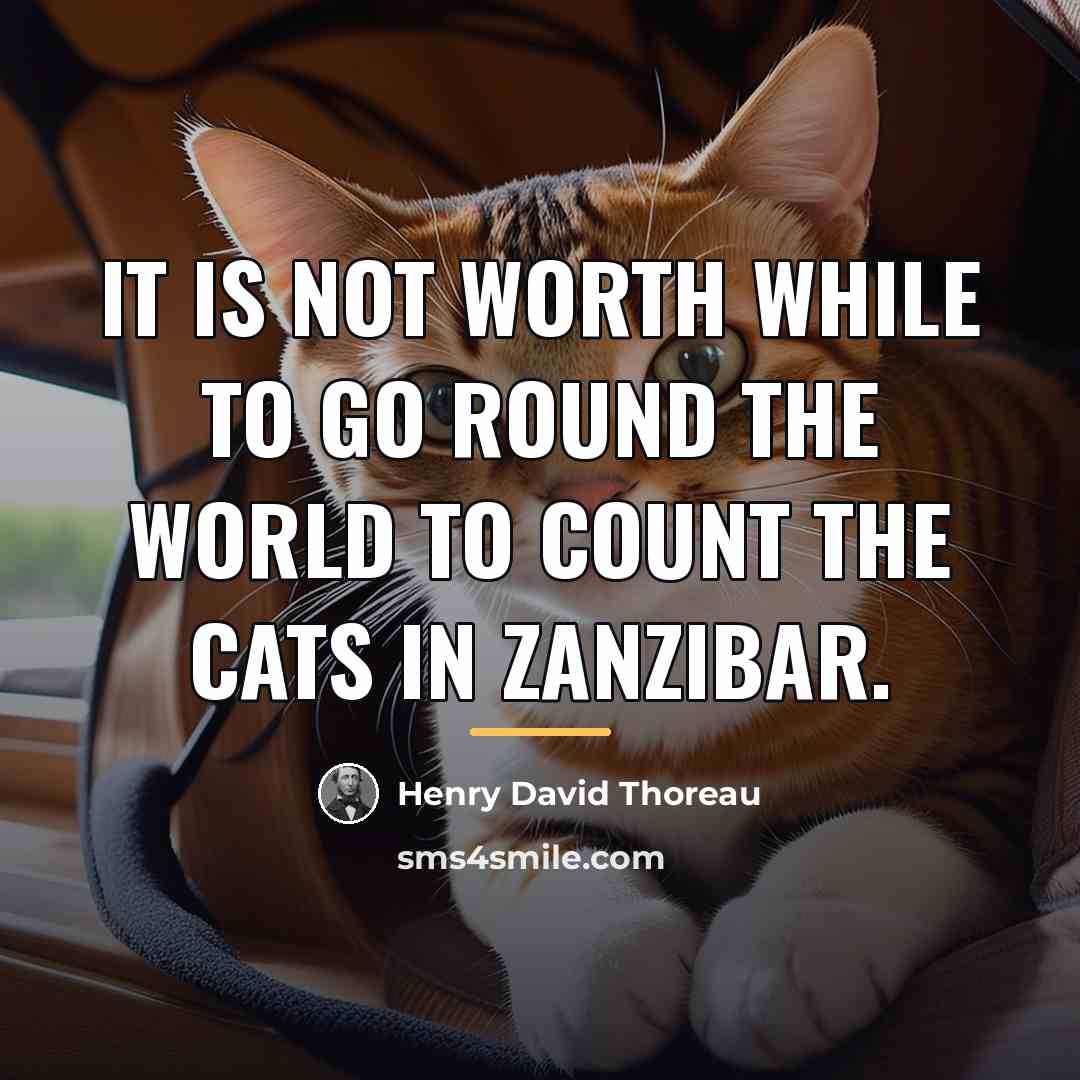 “It is not worth while to go round the world…” quote by Henry David Thoreau