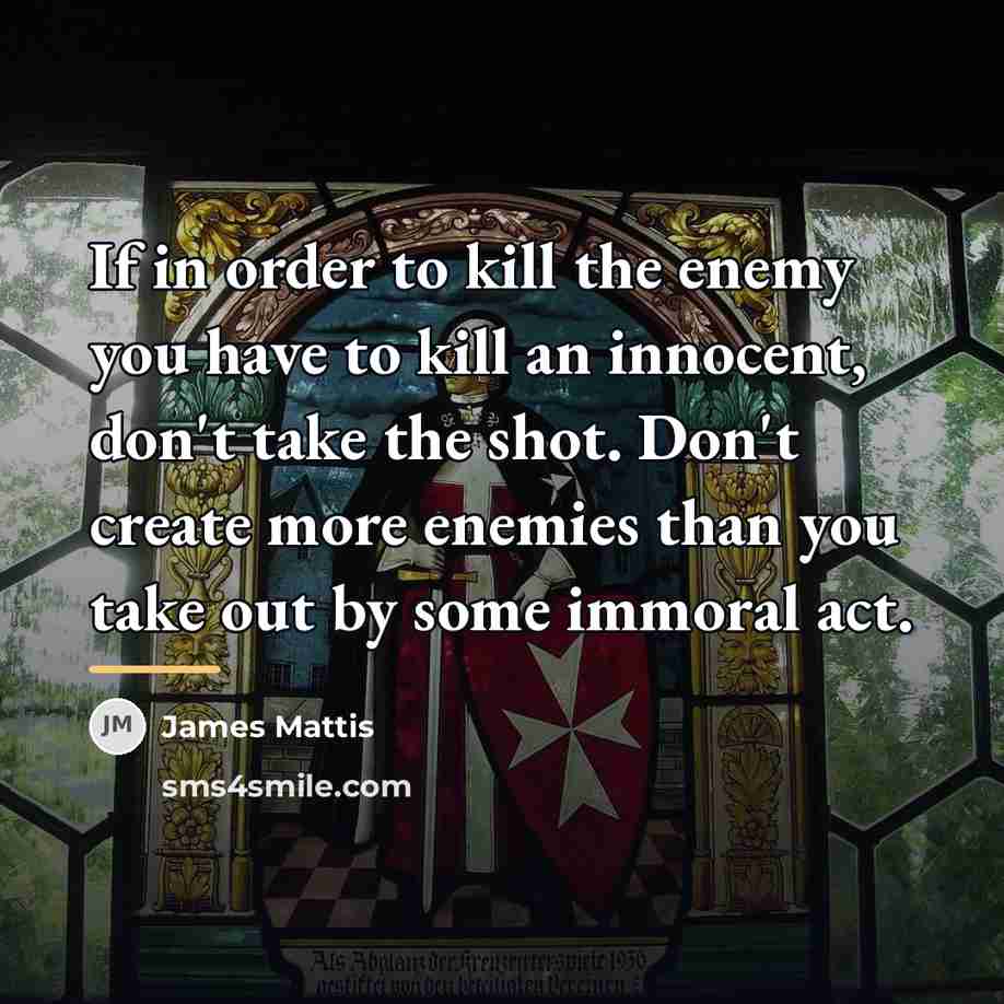 “If in order to kill the enemy you have to…” quote by James Mattis