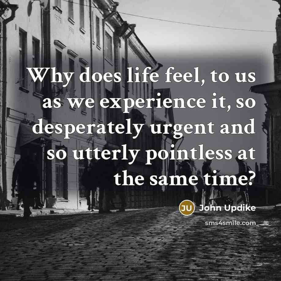 “Why does life feel, to us as we experience it,…” quote by John Updike