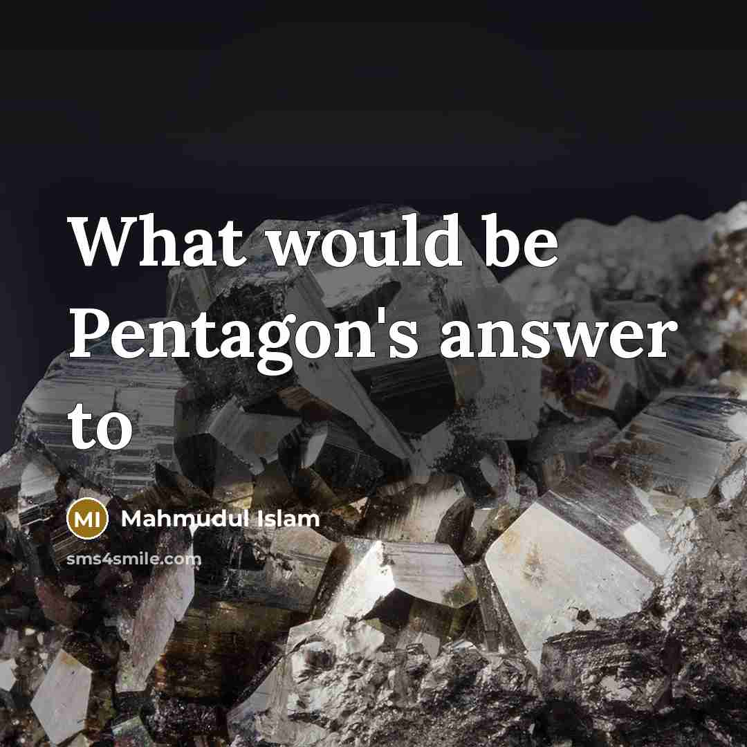 “What would be Pentagon's answer to…” quote by Mahmudul Islam