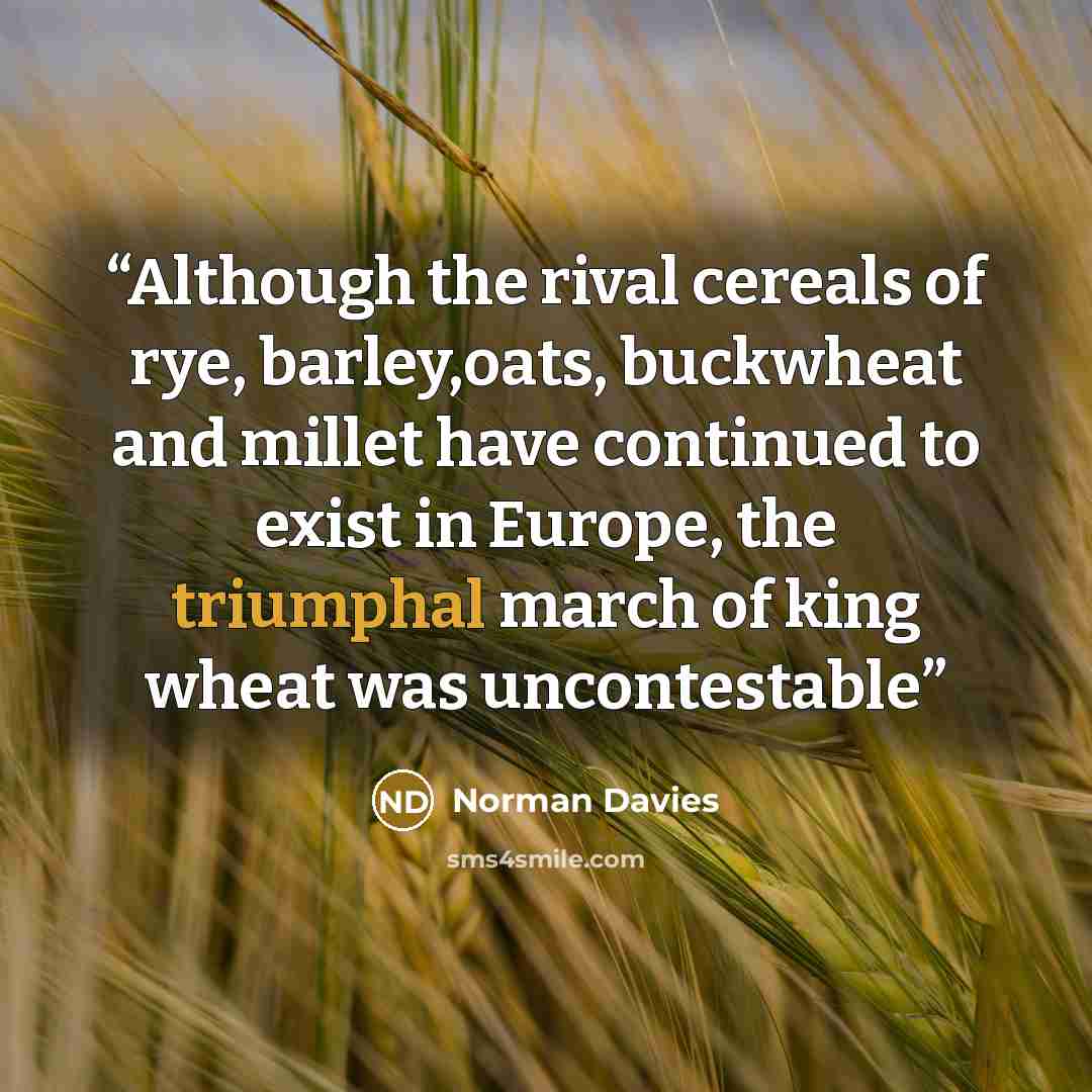 “Although the rival cereals of rye, barley,oats, buckwheat and millet have continued to exist in Europe, the triumphal march of king wheat was uncontestable” quote by Norman Davies