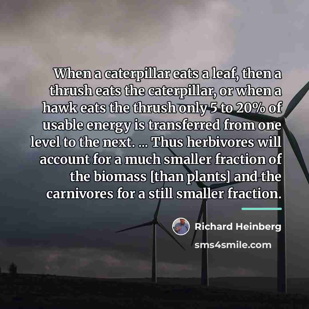 “When a caterpillar eats a leaf, then a thrush eats…” quote by Richard Heinberg