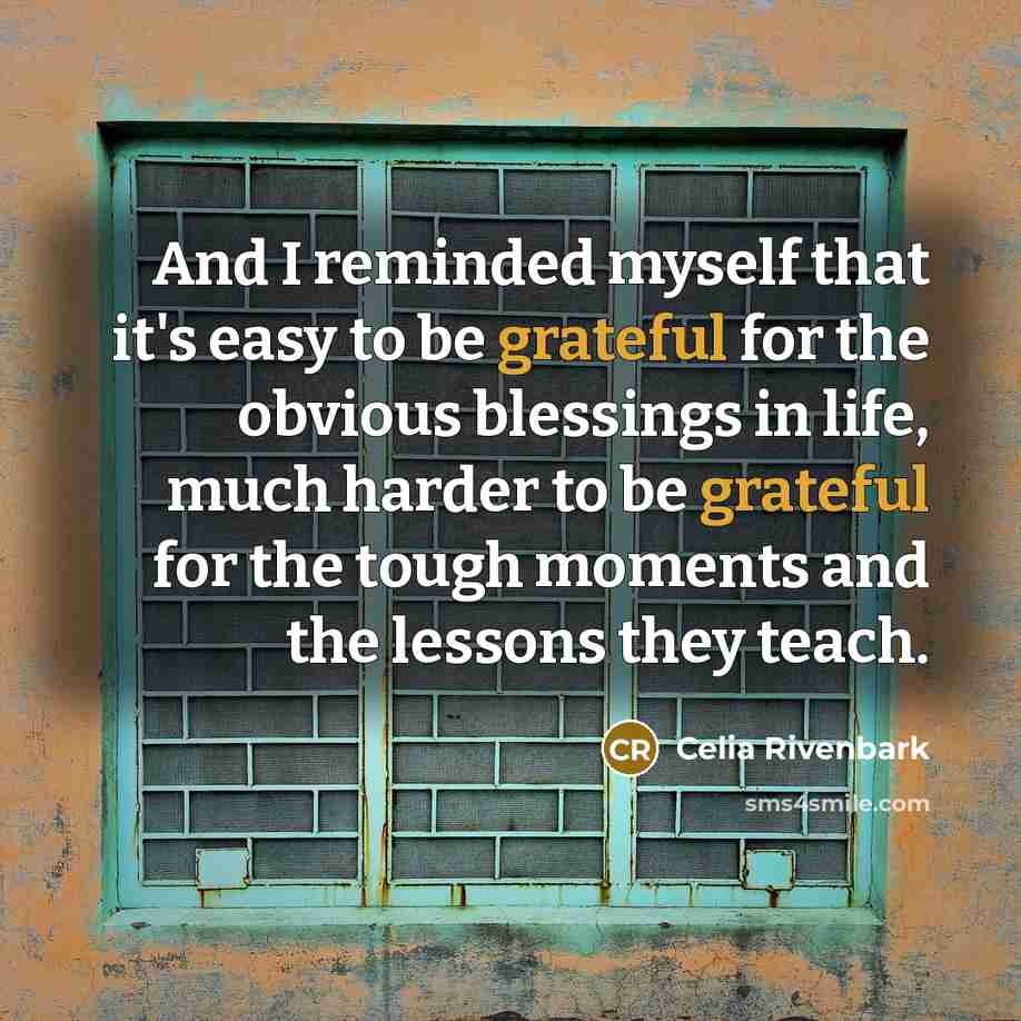 “And I reminded myself that it's easy to be grateful…” quote by Celia Rivenbark