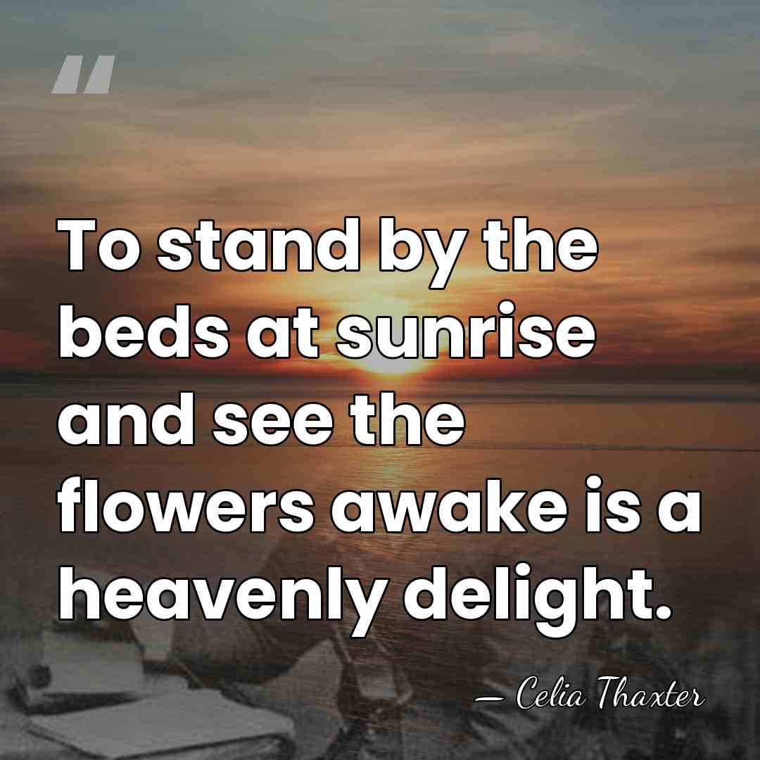 To stand by the beds at sunrise and see the flowers awake&hellip; - Celia Thaxter