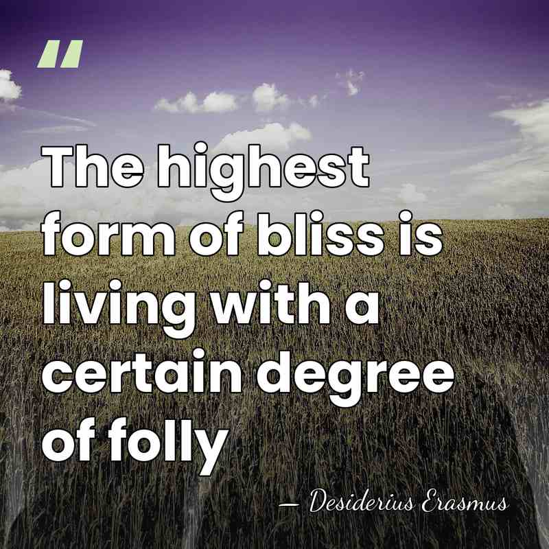 The highest form of bliss is living with a certain degree of&hellip; - Desiderius Erasmus
