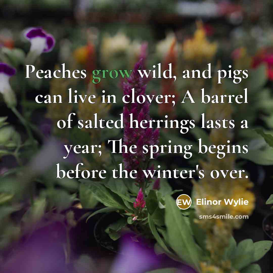 “Peaches grow wild, and pigs can live in clover; A…” quote by Elinor Wylie