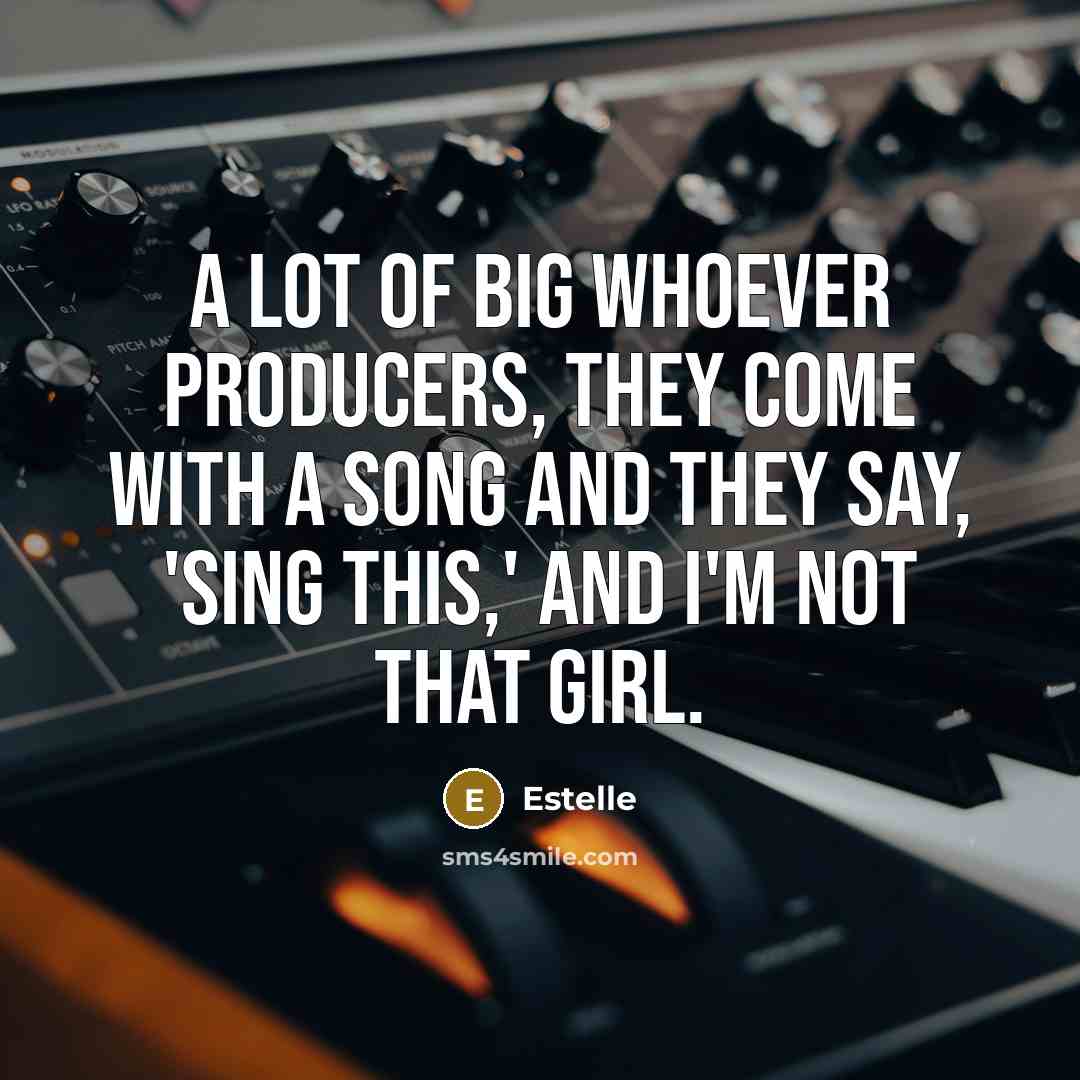 “A lot of big whoever producers, they come with a…” quote by Estelle
