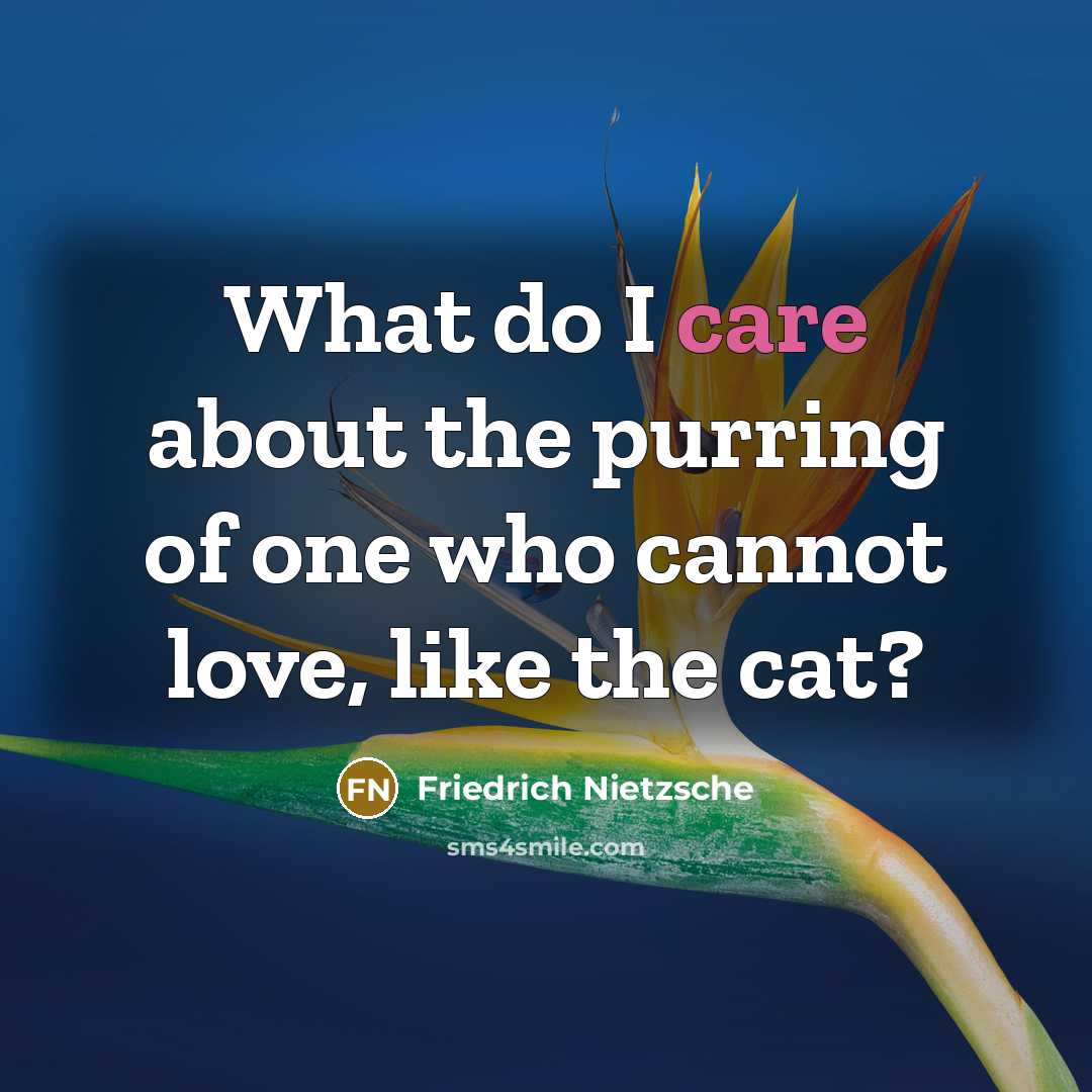 “What do I care about the purring of one who…” quote by Friedrich Nietzsche