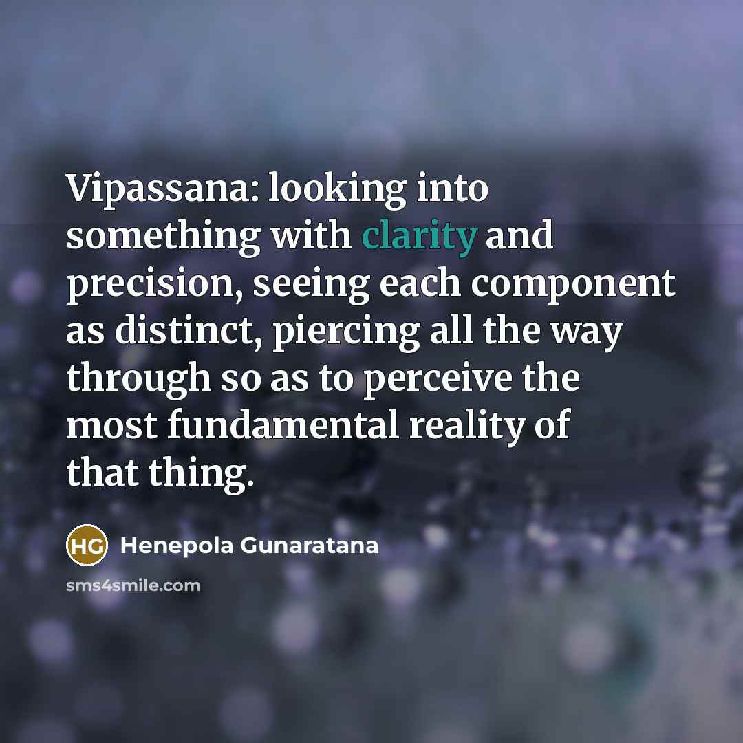 “Vipassana: looking into something with clarity and precision, seeing each…” quote by Henepola Gunaratana