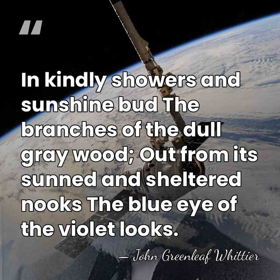 In kindly showers and sunshine bud The branches of the dull gray&hellip; - John Greenleaf Whittier