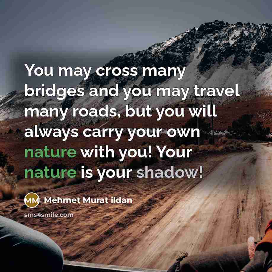 “You may cross many bridges and you may travel many…” quote by Mehmet Murat Ildan