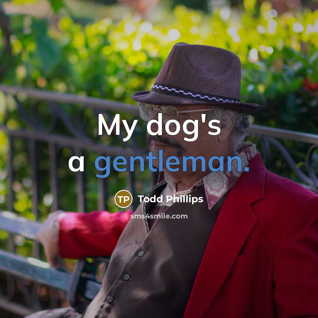 “My dog's a gentleman.” quote by Todd Phillips