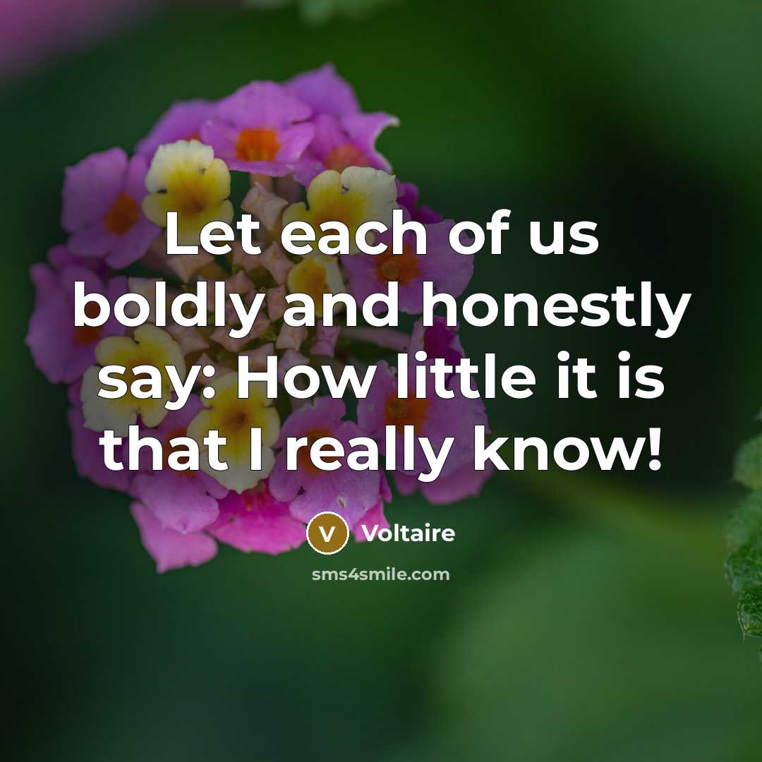 “Let each of us boldly and honestly say: How little…” quote by Voltaire