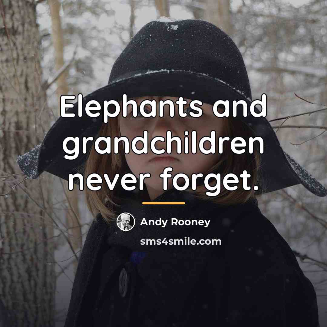 “Elephants and grandchildren never forget.…” quote by Andy Rooney
