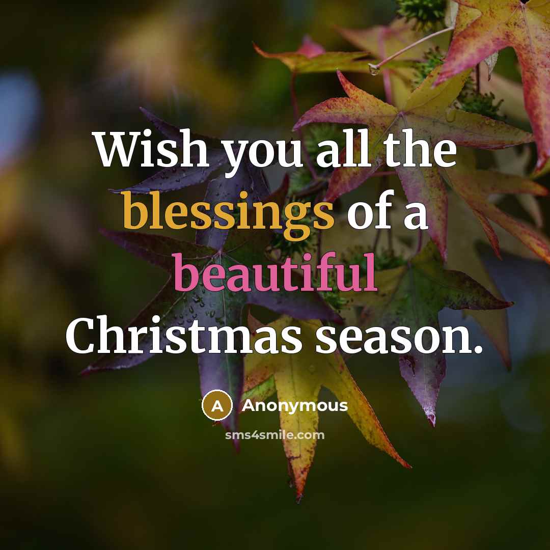 “Wish you all the blessings of a beautiful Christmas season.…” quote by Anonymous
