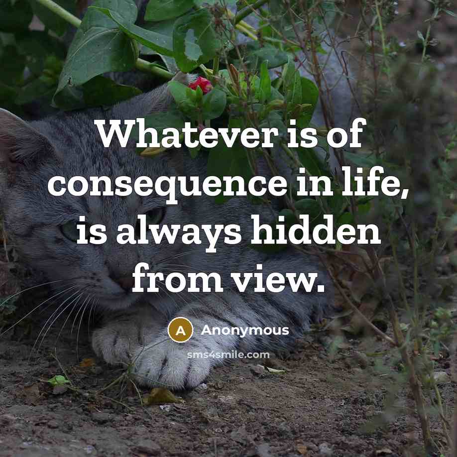 “Whatever is of consequence in life, is always hidden from view.” quote by Anonymous