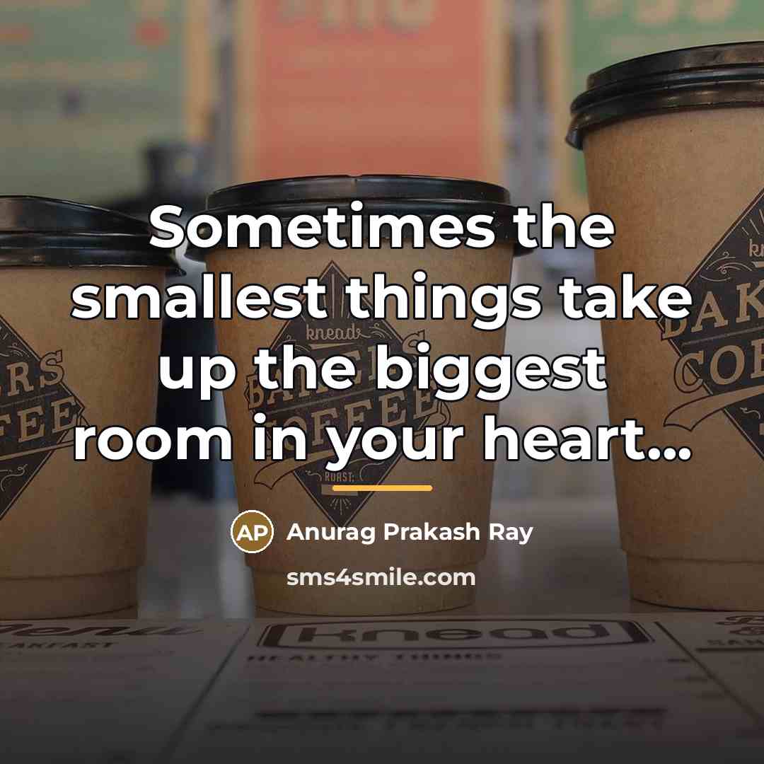 “Sometimes the smallest things take up the biggest room in…” quote by Anurag Prakash Ray