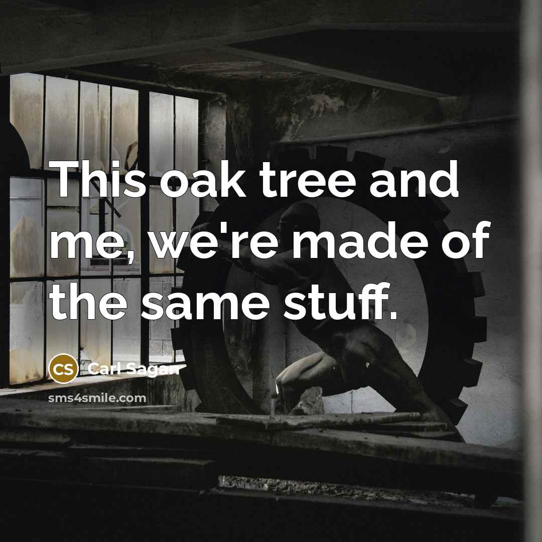 “This oak tree and me, we're made of the same…” quote by Carl Sagan