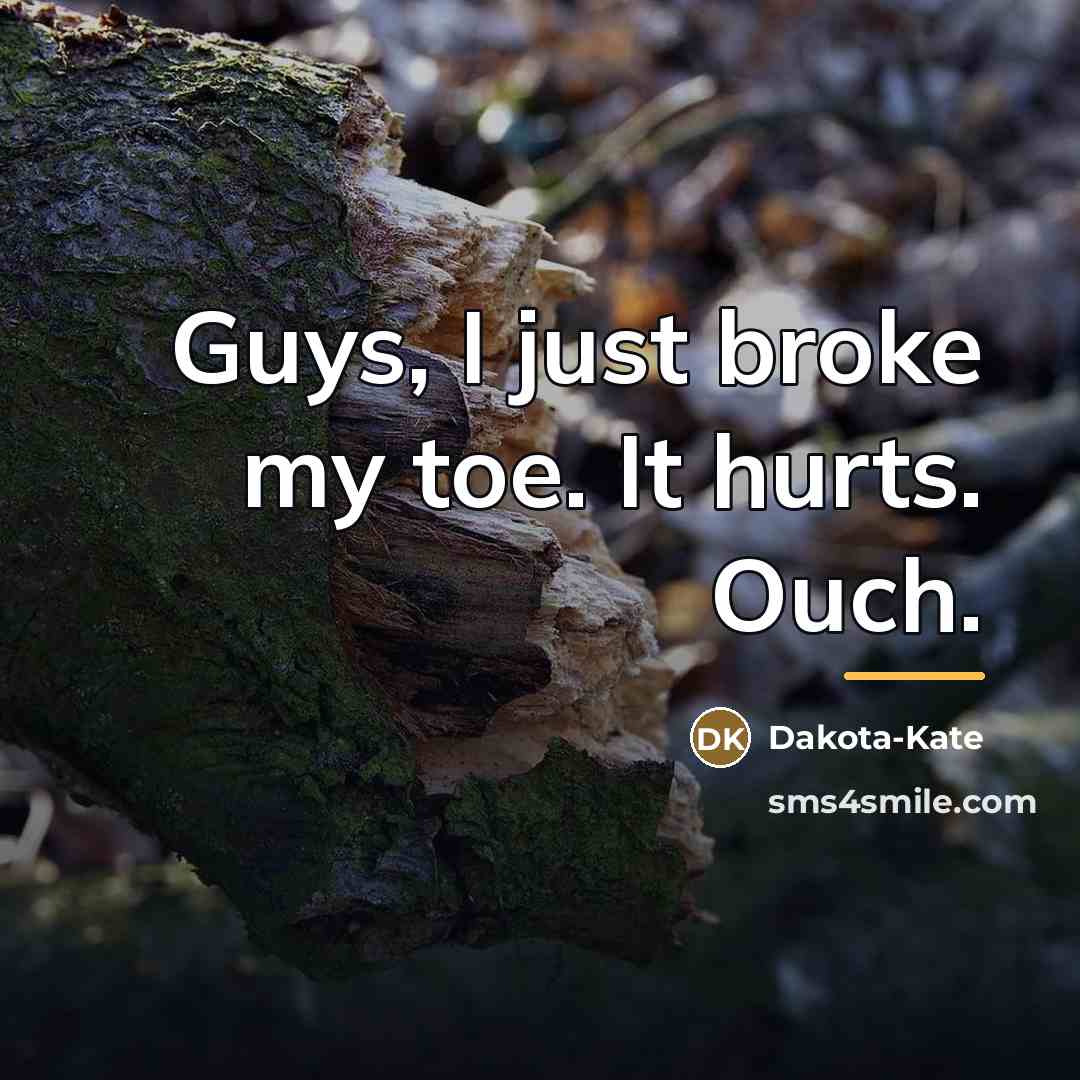 “Guys, I just broke my toe. It hurts. Ouch.…” quote by Dakota-Kate