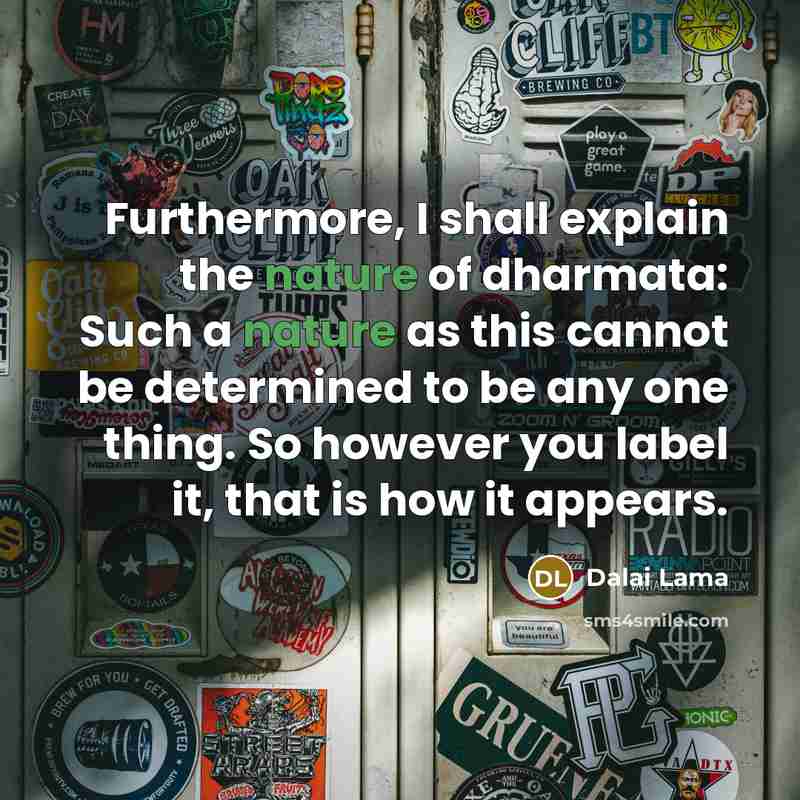 “Furthermore, I shall explain the nature of dharmata: Such a…” quote by Dalai Lama