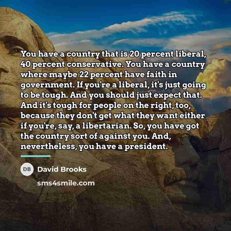“You have a country that is 20 percent liberal, 40…” quote by David Brooks