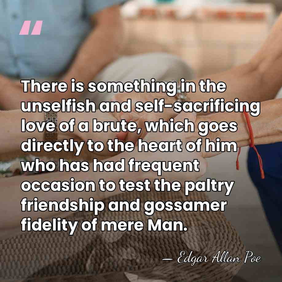 There is something in the unselfish and self-sacrificing love of a brute,&hellip; - Edgar Allan Poe