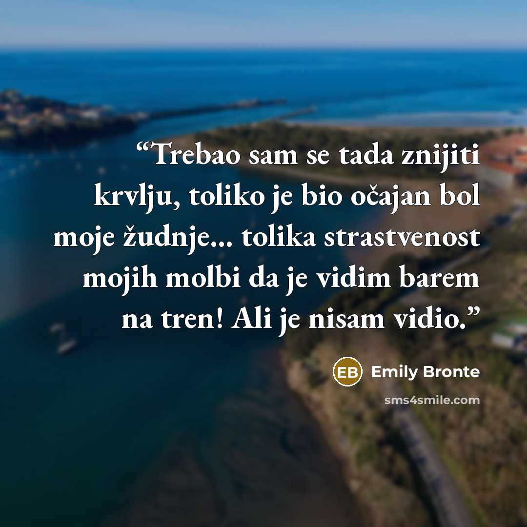 “Trebao sam se tada znijiti krvlju, toliko je bio očajan bol moje žudnje... tolika strastvenost mojih molbi da je vidim barem na tren! Ali je nisam vidio.” quote by Emily Brontë
