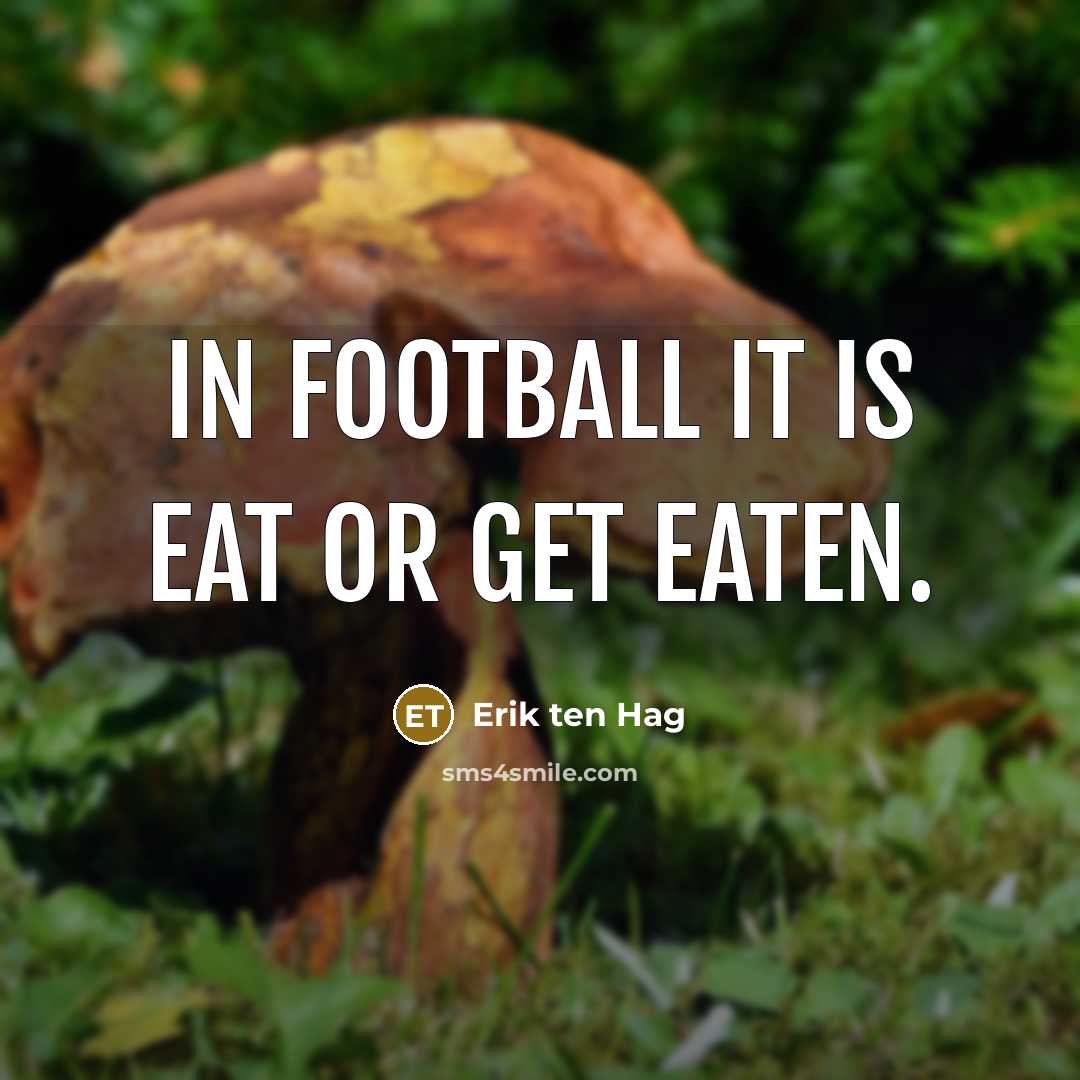 “In football it is eat or get eaten.…” quote by Erik ten Hag