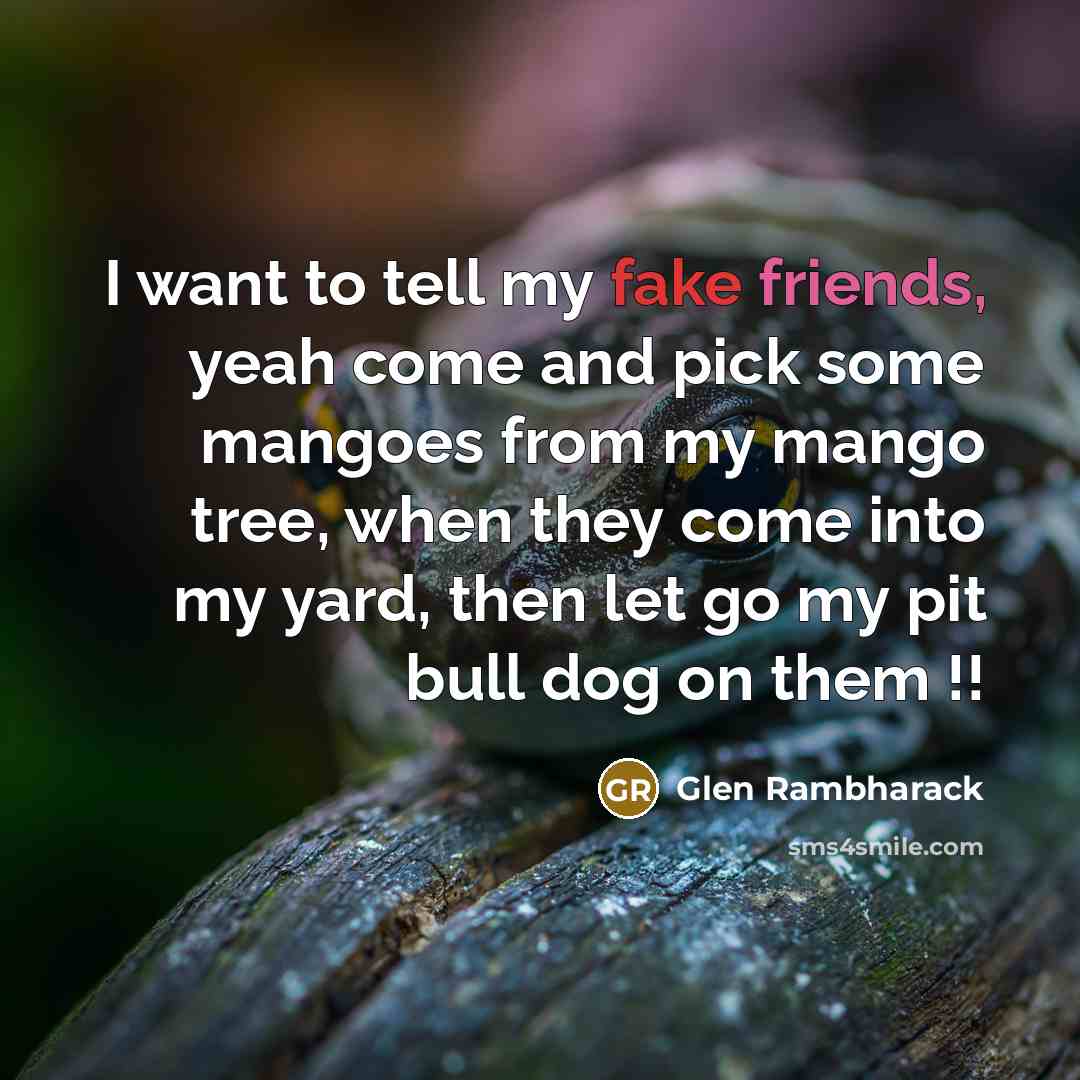 “I want to tell my fake friends, yeah come and pick some mangoes from my mango tree, when they come into my yard, then let go my pit bull dog on them !!” quote by Glen Rambharack