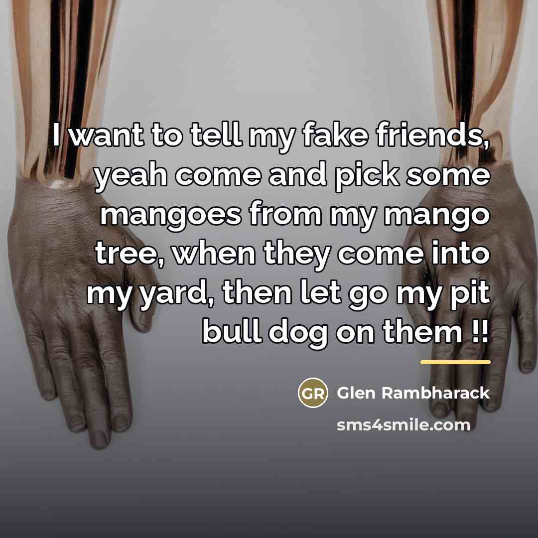 “I want to tell my fake friends, yeah come and…” quote by Glen Rambharack