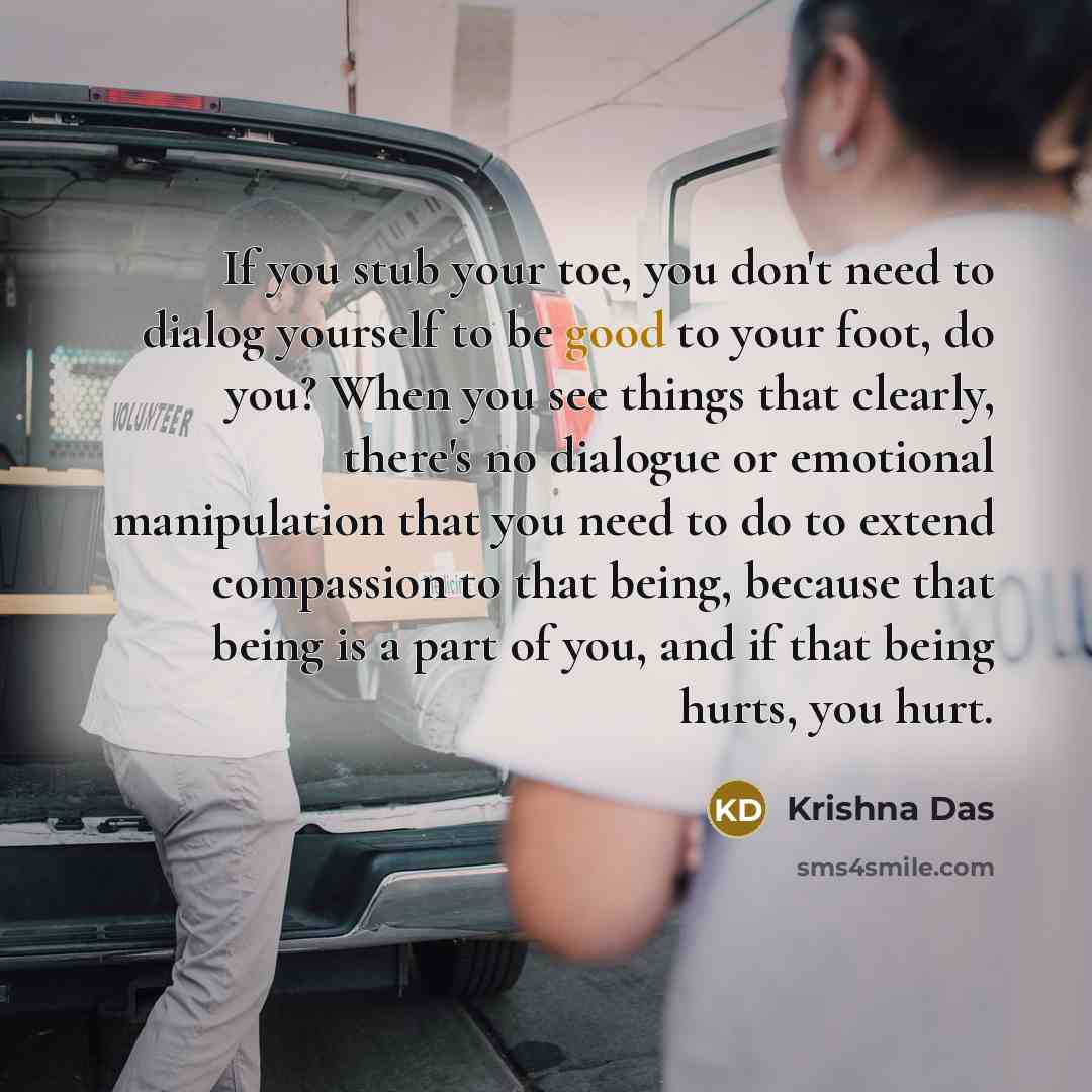 “If you stub your toe, you don't need to dialog…” quote by Krishna Das