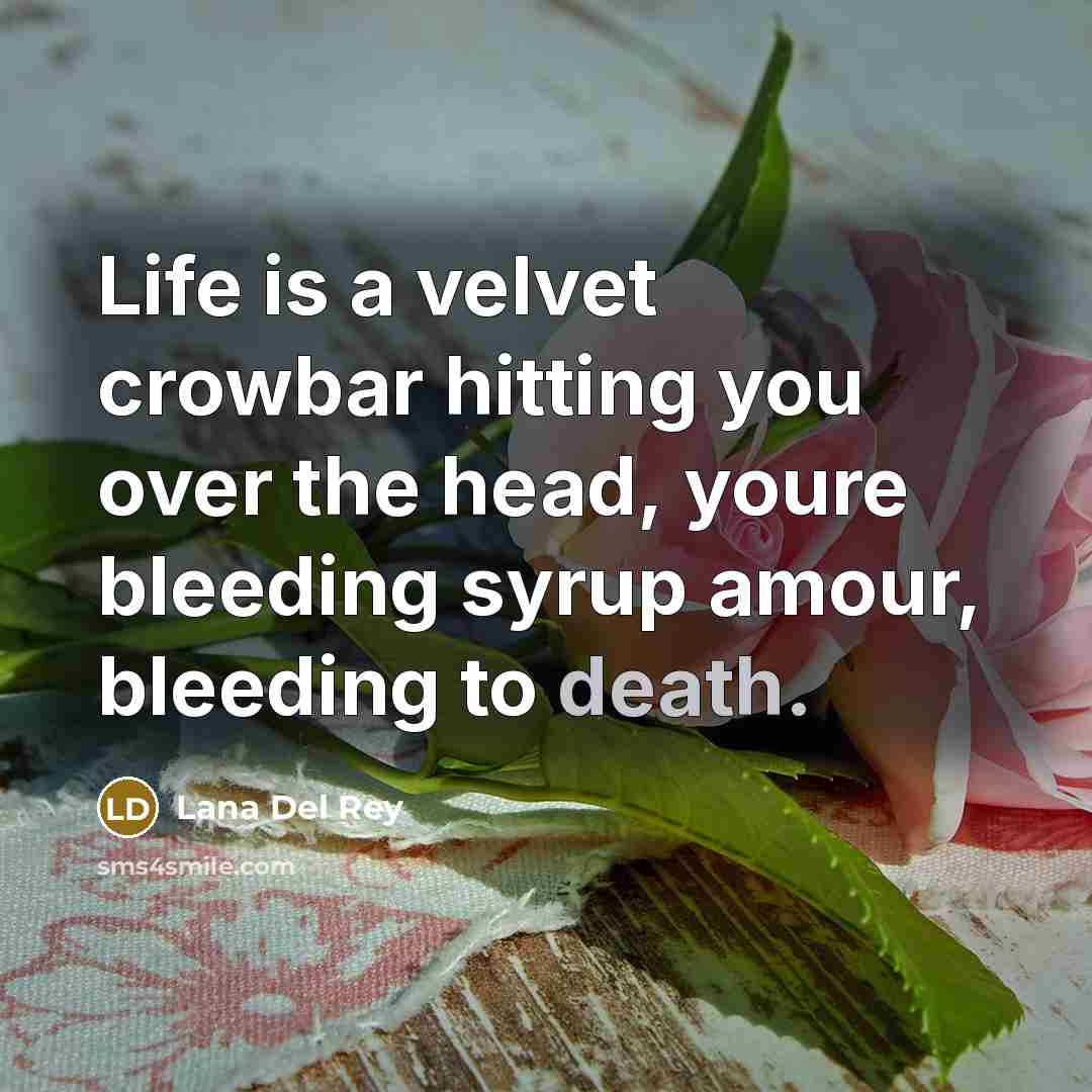 “Life is a velvet crowbar hitting you over the head,…” quote by Lana Del Rey