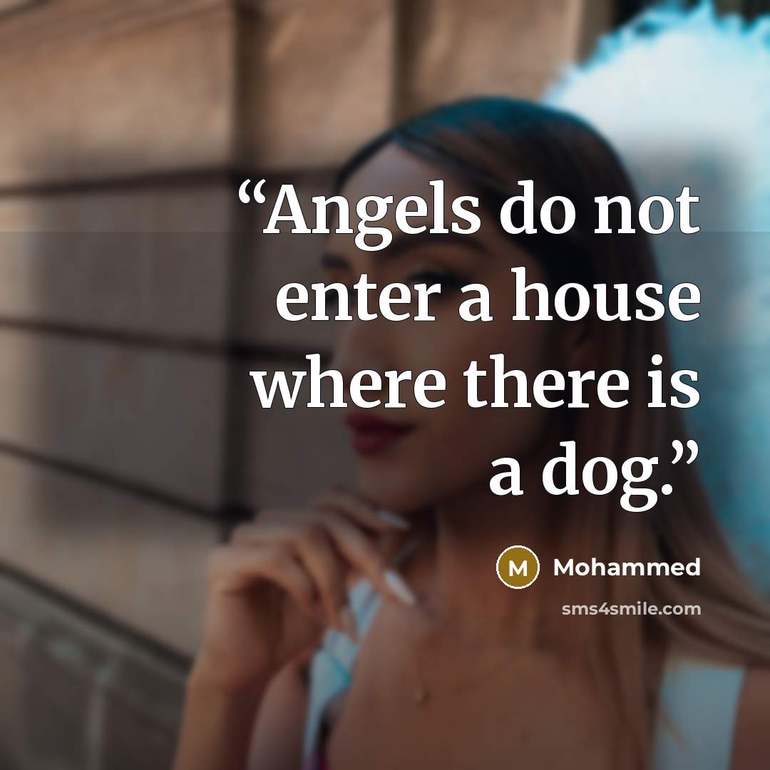 “Angels do not enter a house where there is a dog.” quote by Mohammed