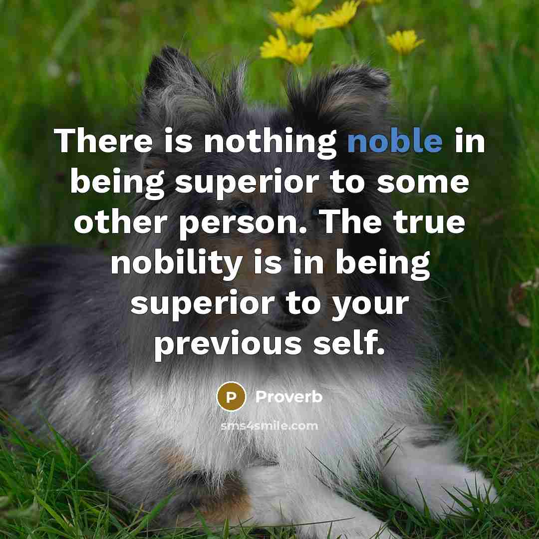 “There is nothing noble in being superior to some other…” quote by Proverb