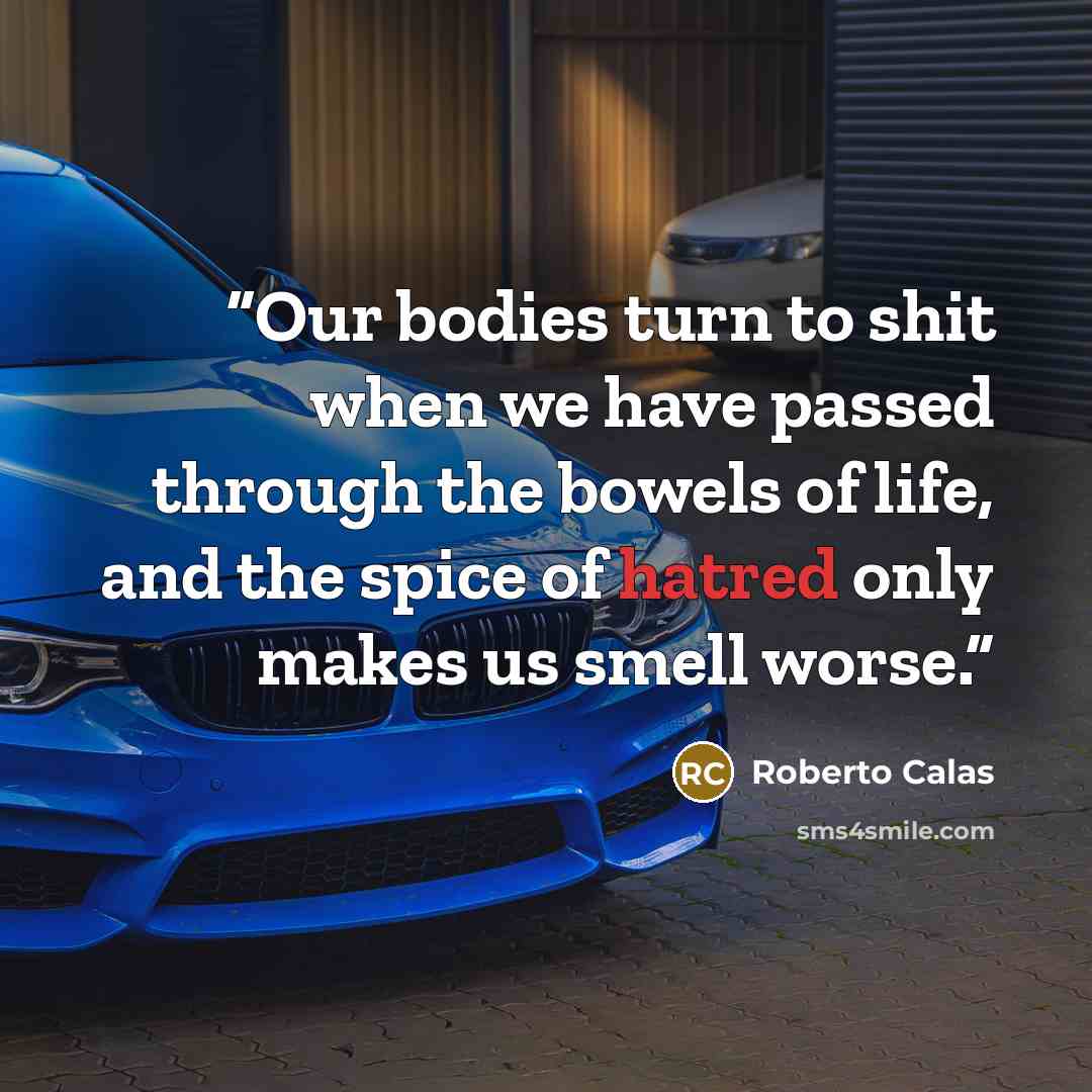 “Our bodies turn to shit when we have passed through the bowels of life, and the spice of hatred only makes us smell worse.” quote by Roberto Calas