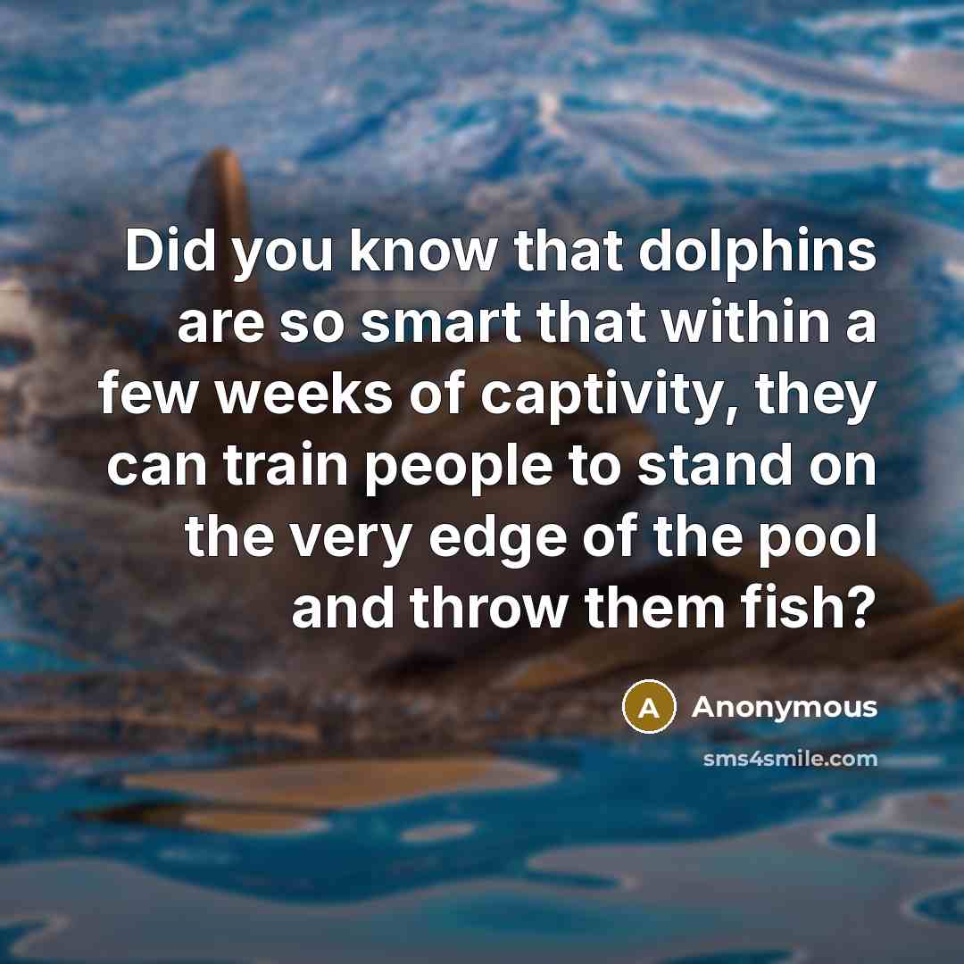 “Did you know that dolphins are so smart that within a few weeks of captivity, they can train people to stand on the very edge of the pool and throw them fish?” quote by Anonymous